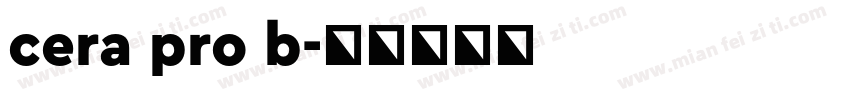 cera pro b字体转换